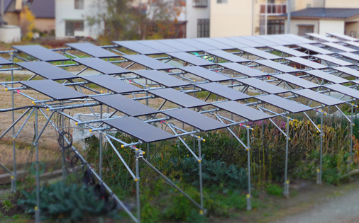 太陽光発電所施工例（ソーラシェアリング）
